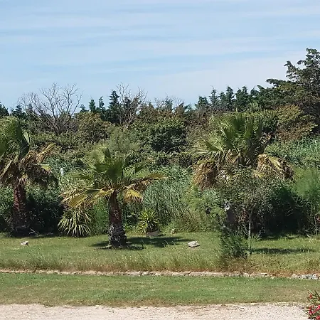 Clamador 3*